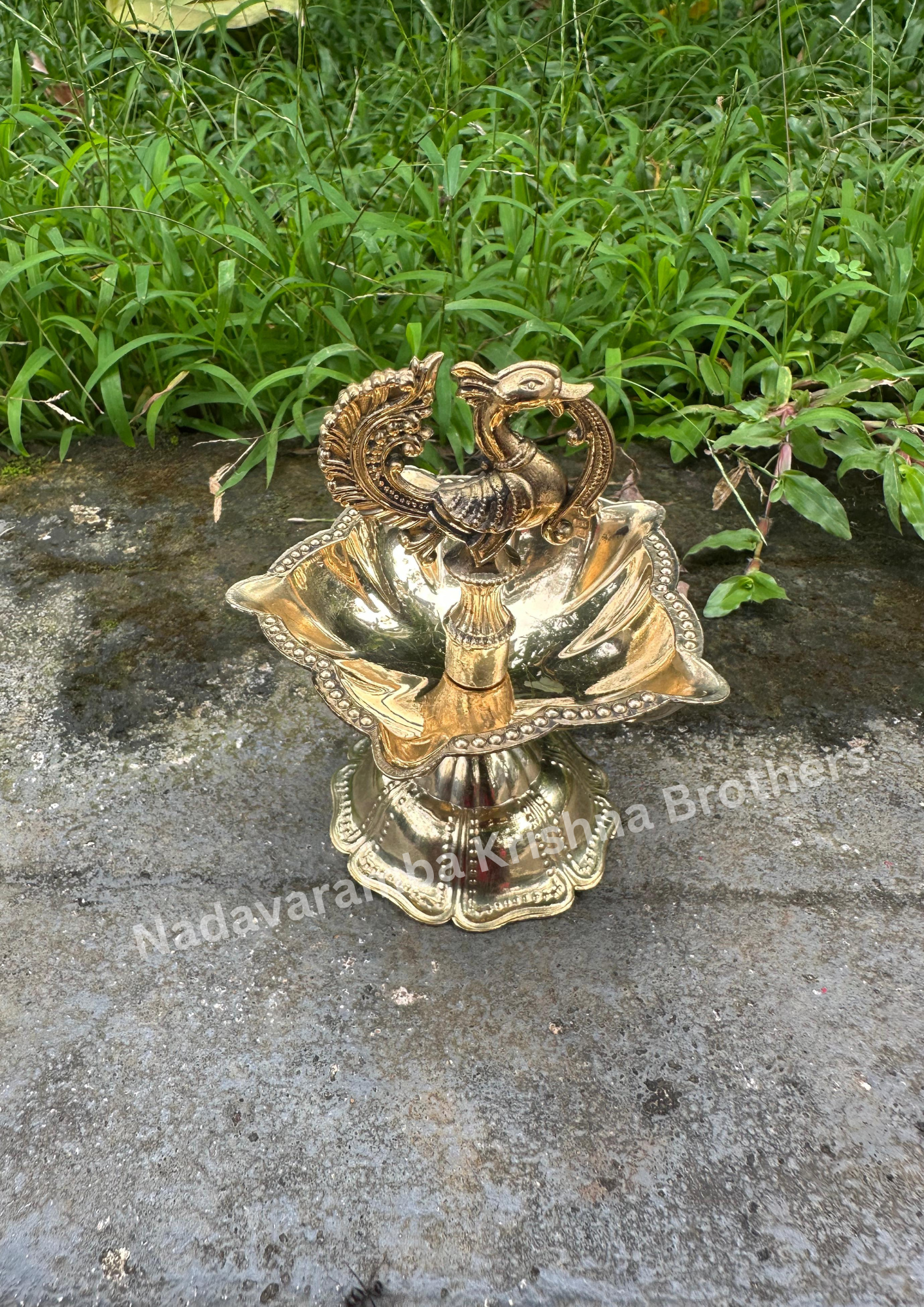 Fancy Peacock Deep - Image 2