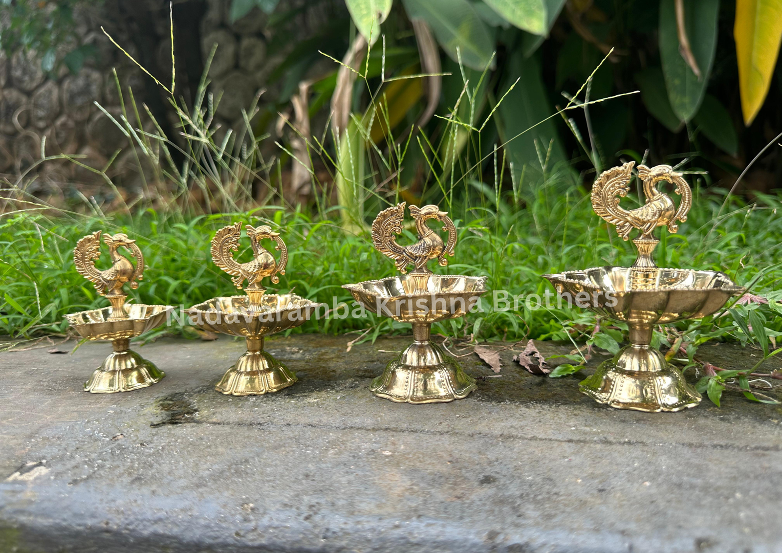 Fancy Peacock Deep - Image 5