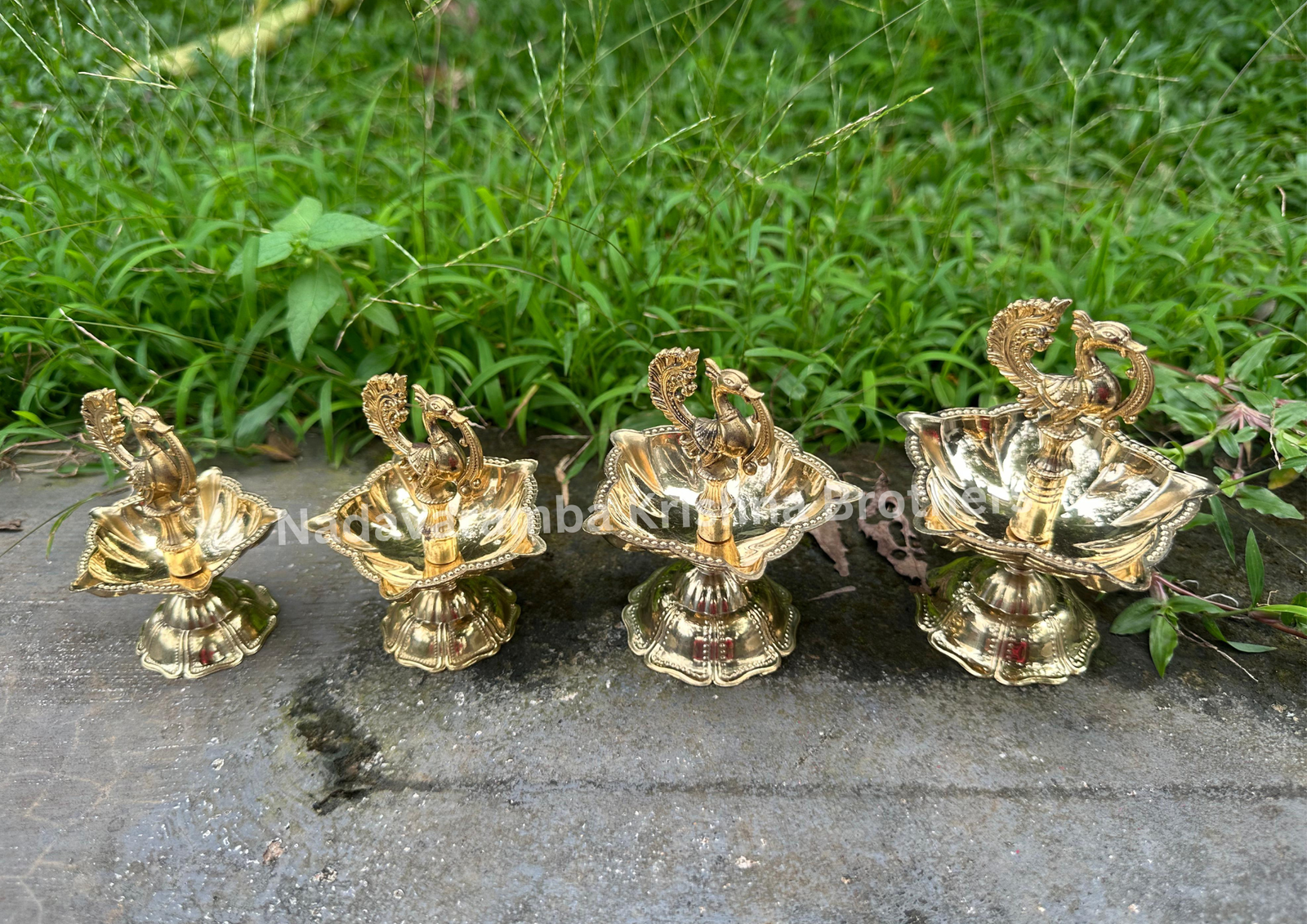 Fancy Peacock Deep - Image 4