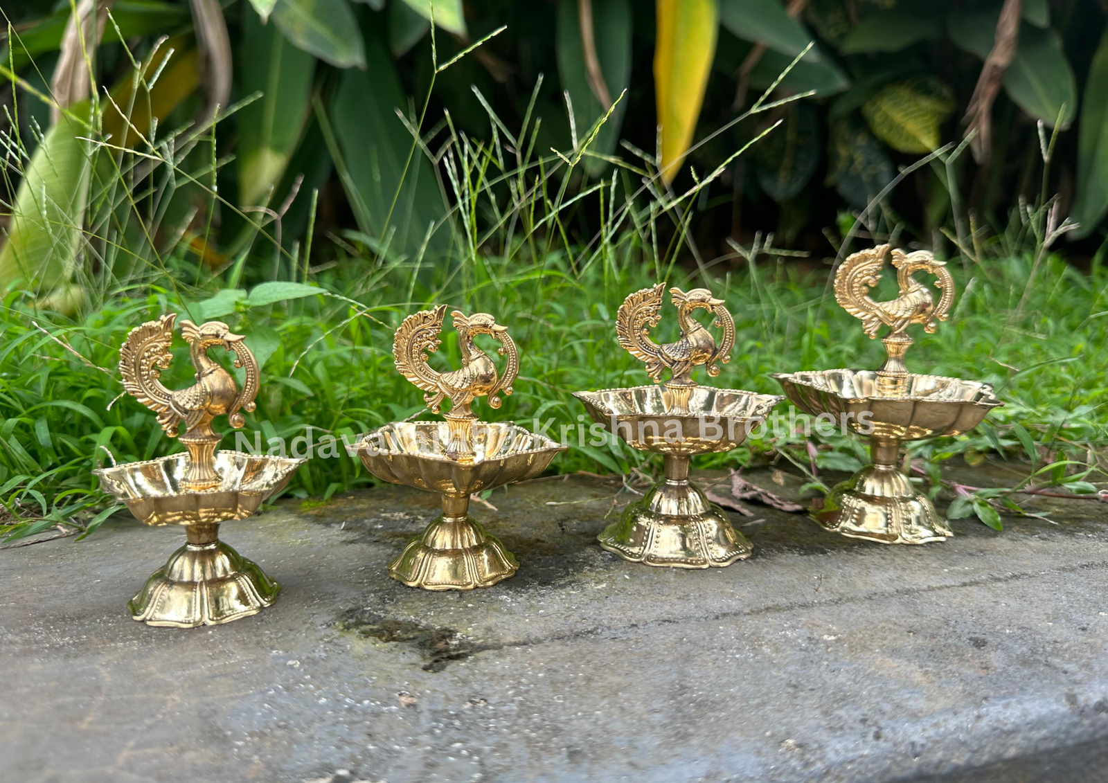 Fancy Peacock Deep - Image 3