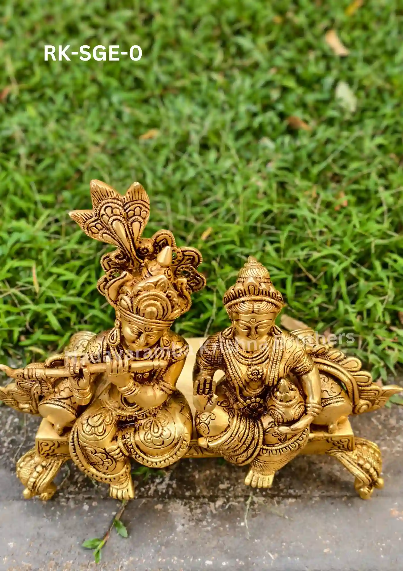 Radhakrishna Dhivan (RK-SGE-0) - Image 5