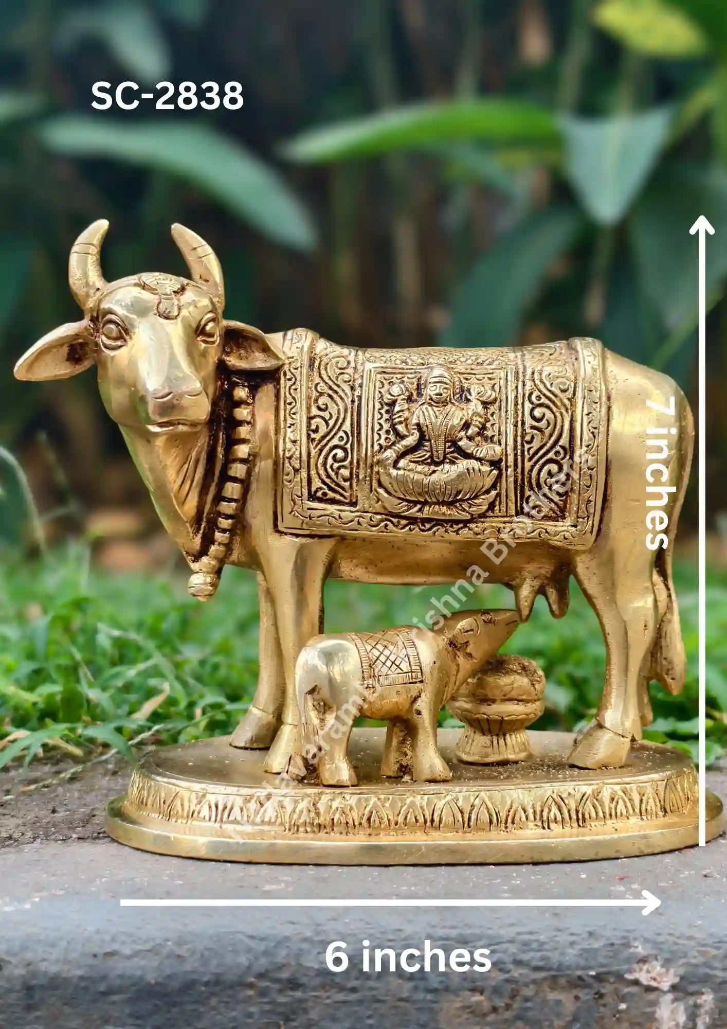 Cow Child 6X7 (SC-2838) - Image 2