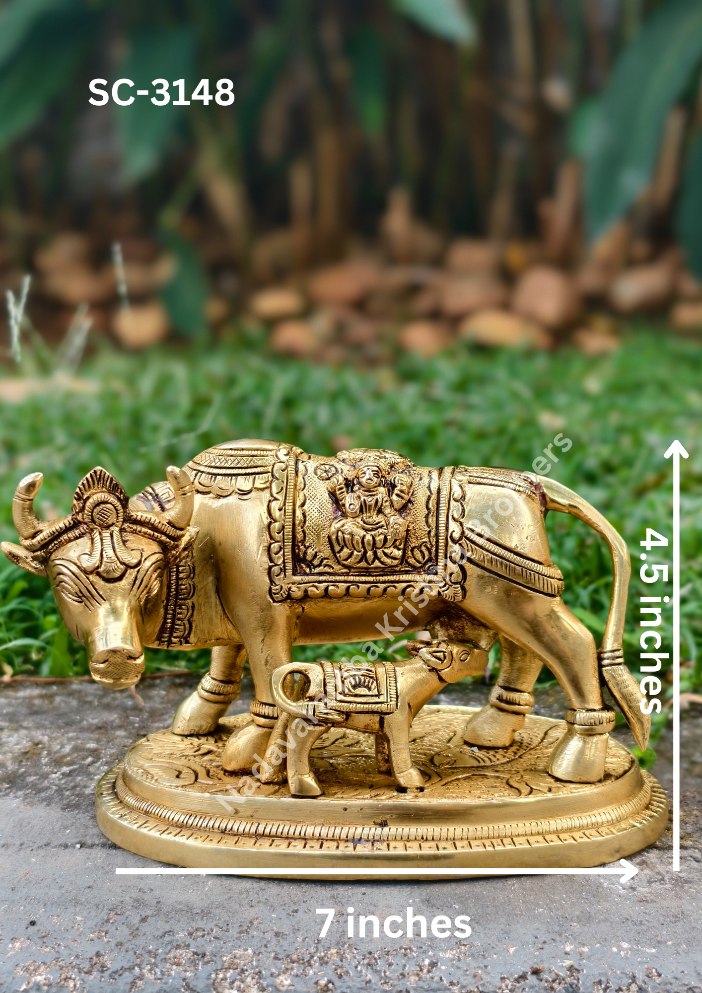 Cow Child 5x7 (SC-3148) - Image 6